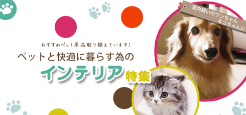 三重 DIY＆リフォームショップREROOM【ペット特集 滑り止め】